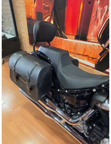 Harley-Davidson Softail Slim 2022 | 13.900 km | 18.490 €