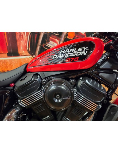 Harley-Davidson Nightster New | From €12,300 | Siebla
