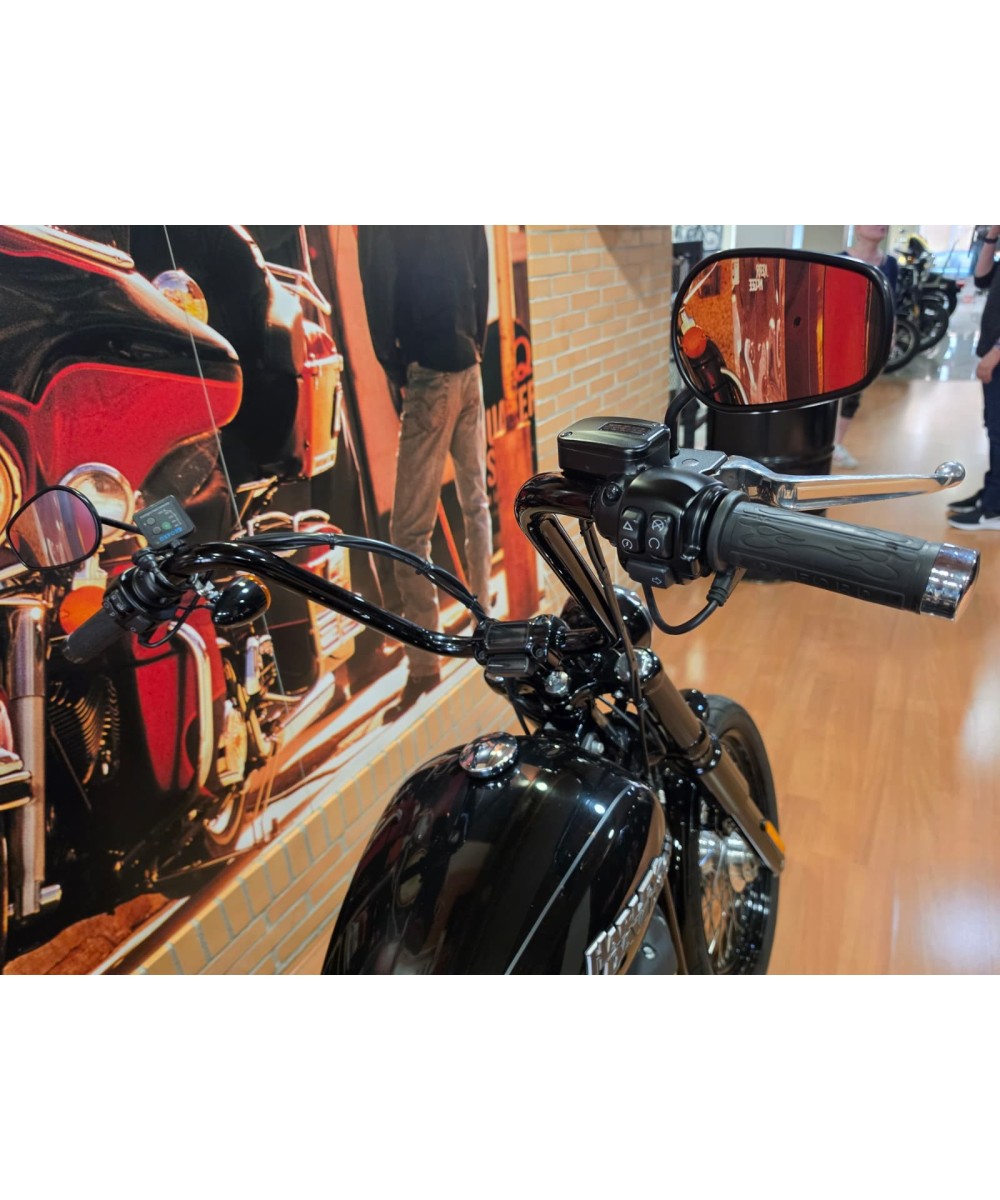 Harley-Davidson Softail Street Bob 107 2019 | 30.900 km