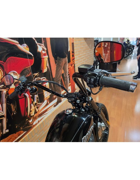 Harley-Davidson Softail Street Bob 107 2019 | 30.900 km