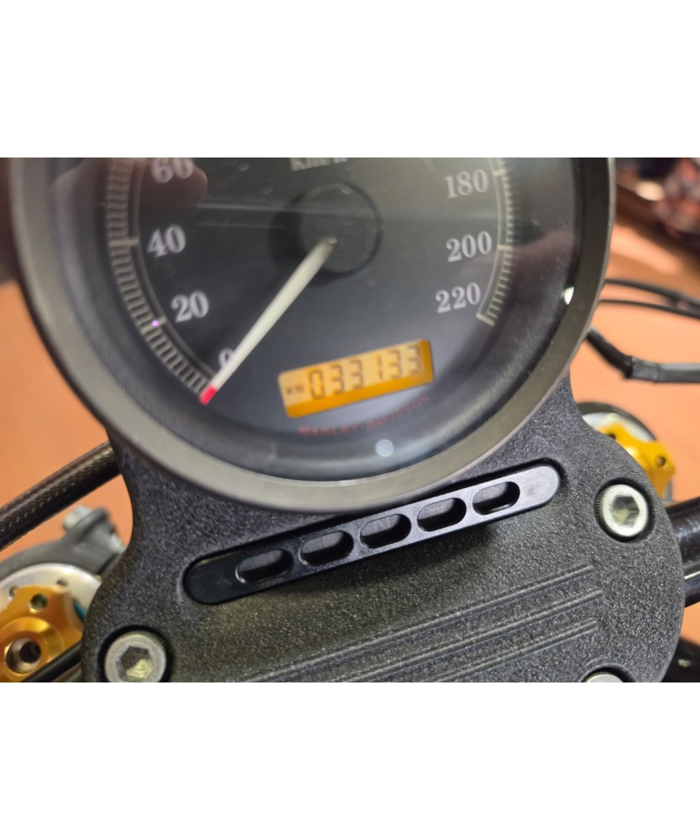 Harley-Davidson Sportster Nightster 1200 2010 | 32.100 km