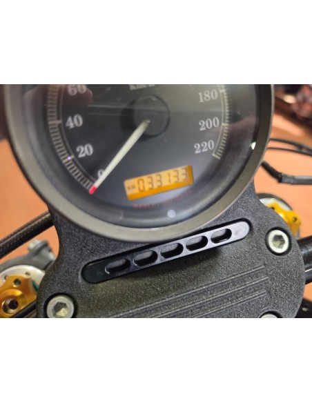 Harley-Davidson Sportster Nightster 1200 2010 | 32.100 km