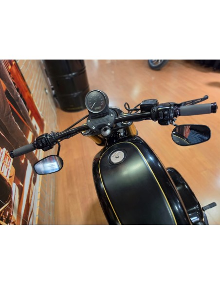 Harley-Davidson Sportster Nightster 1200 2010 | 32.100 km