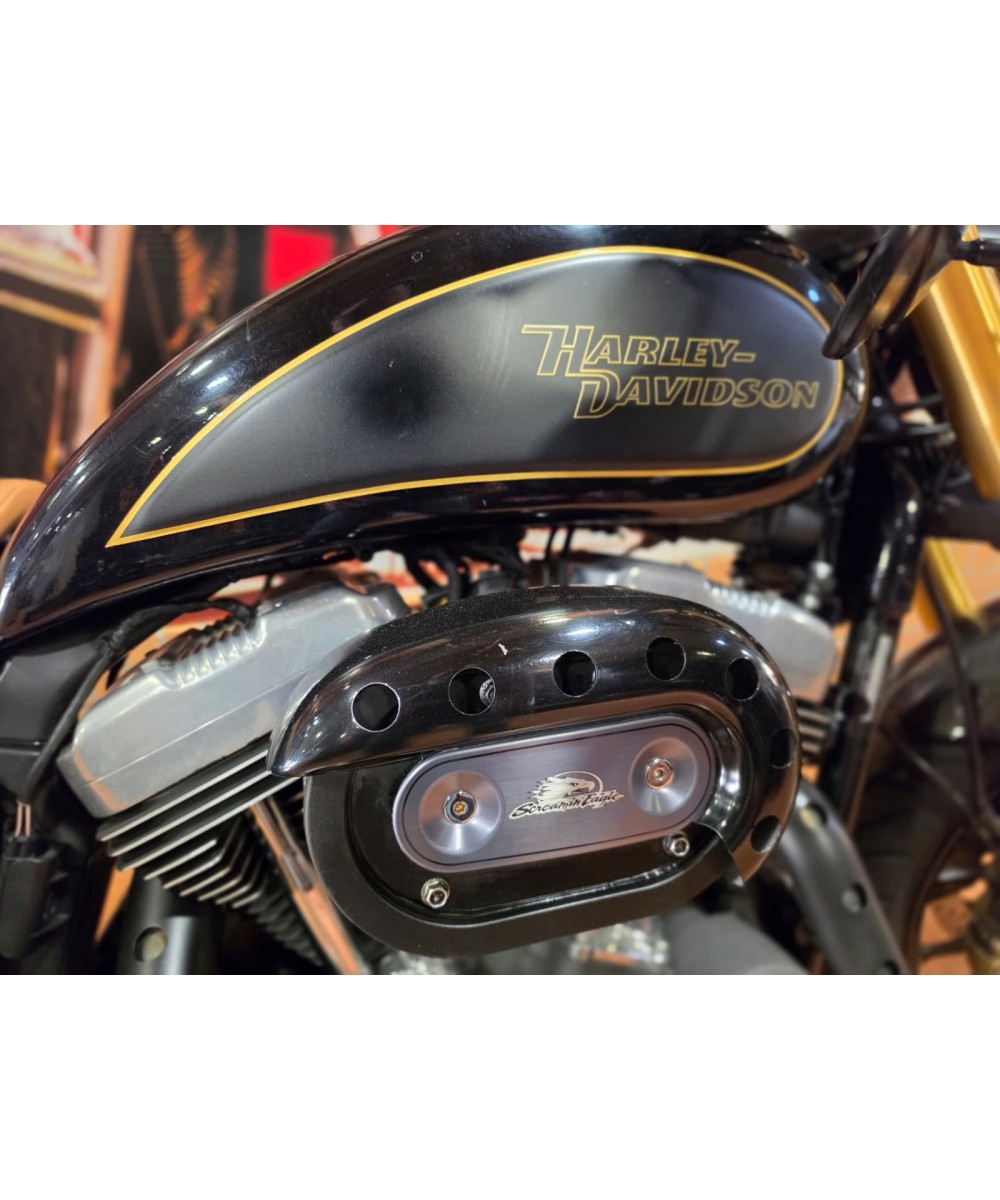 Harley-Davidson Sportster Nightster 1200 2010 | 32.100 km