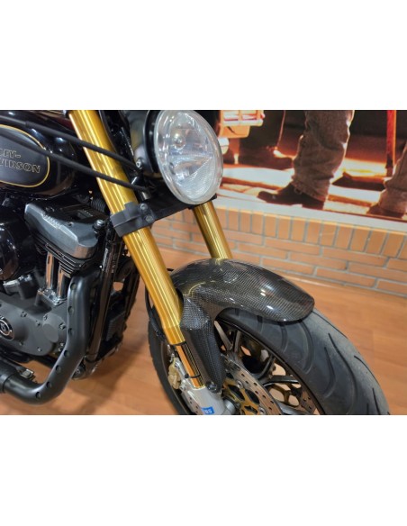 Harley-Davidson Sportster Nightster 1200 2010 | 32.100 km