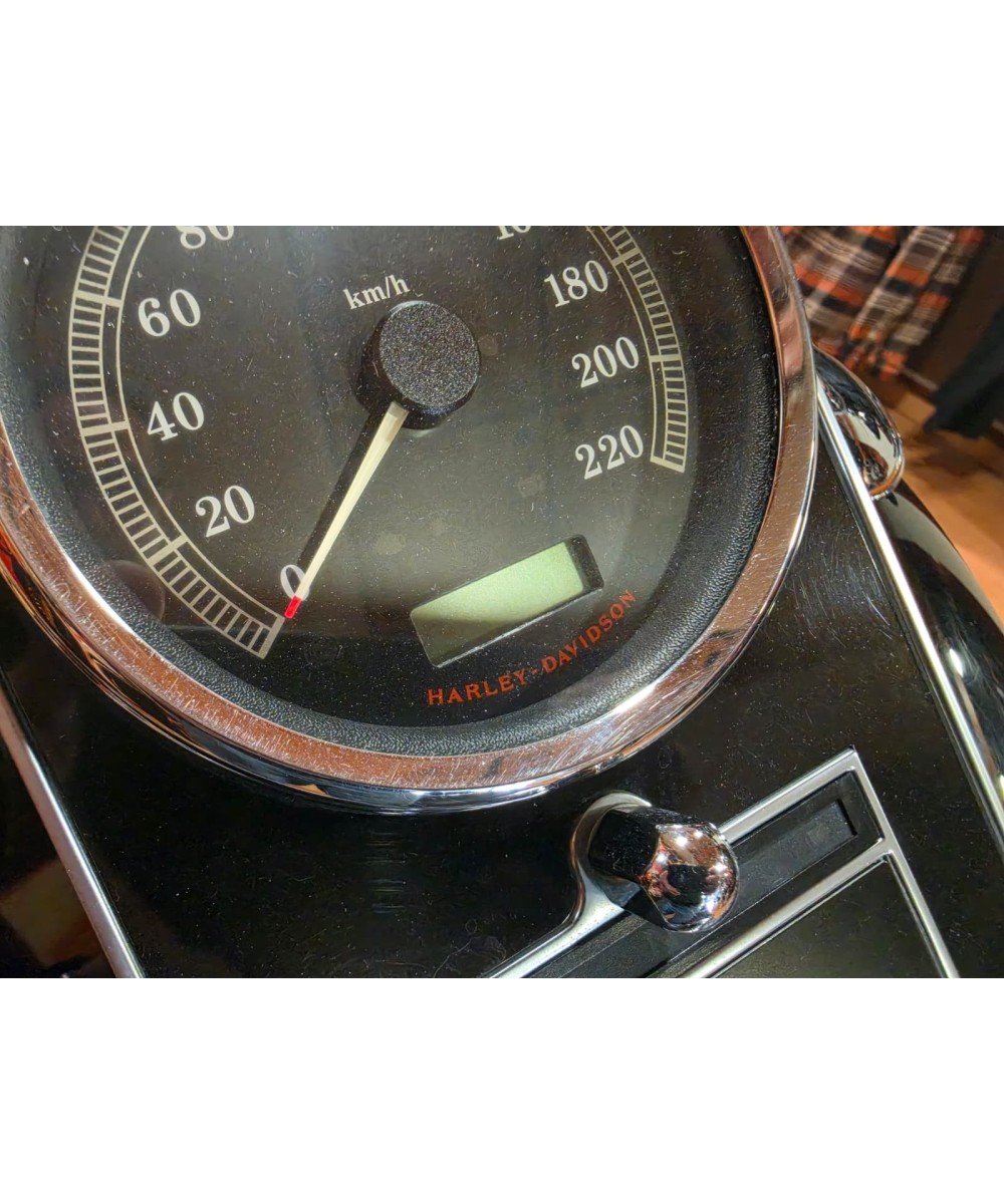 Harley-Davidson Fat Boy 2010 | 45.244 km