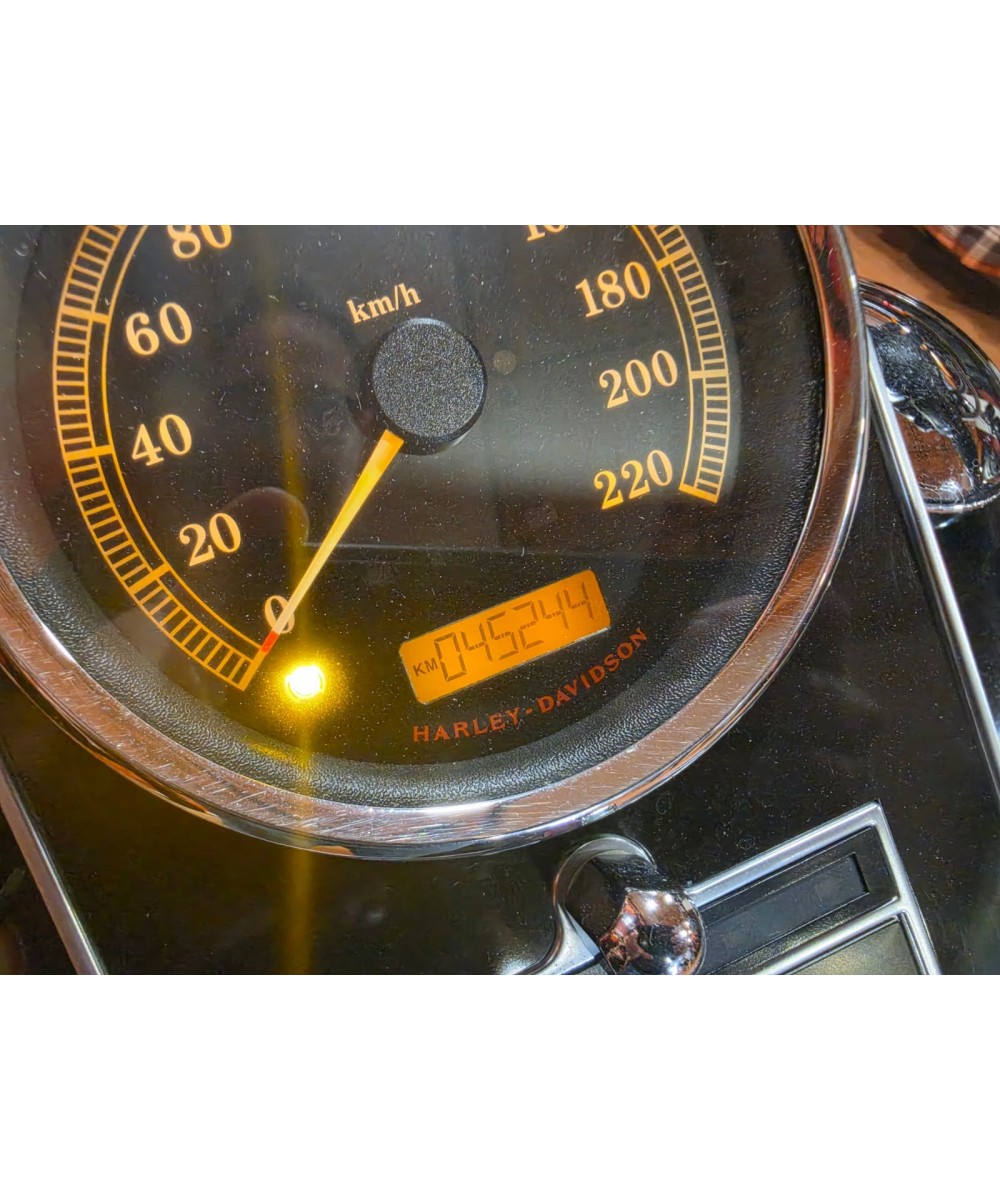 Harley-Davidson Fat Boy 2010 | 45.244 km