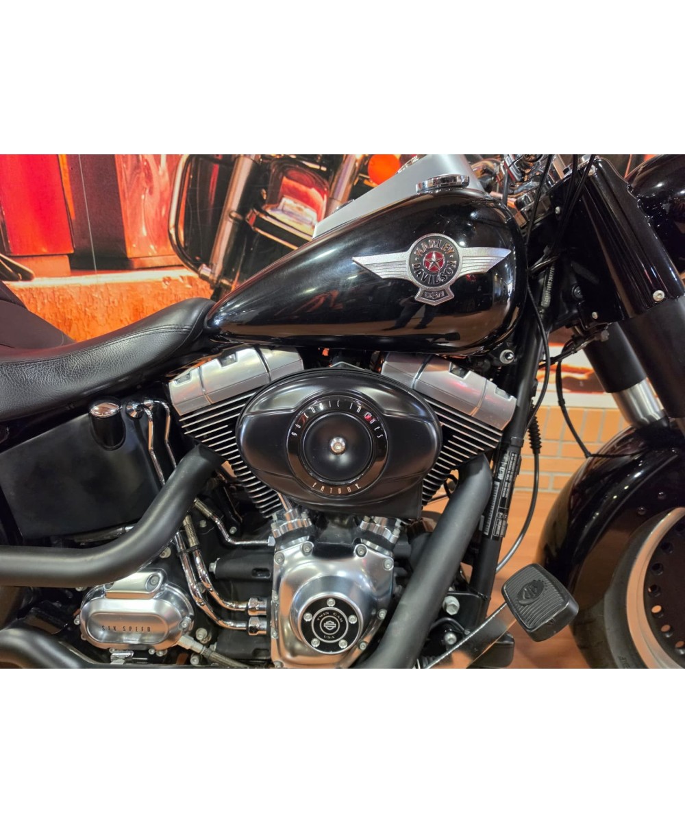 Harley-Davidson Fat Boy 2010 | 45.244 km
