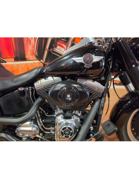 Harley-Davidson Fat Boy 2010 | 45.244 km