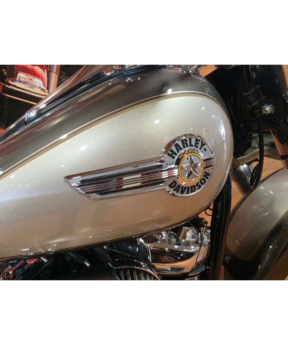 Harley-Davidson Softail Fat Boy 2023 | 13.406 km