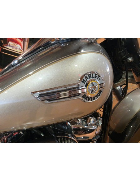 Harley-Davidson Softail Fat Boy 2023 | 13.406 km