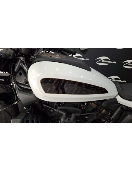 Harley-Davidson Sportster 1250 S 2011 | 1.279km