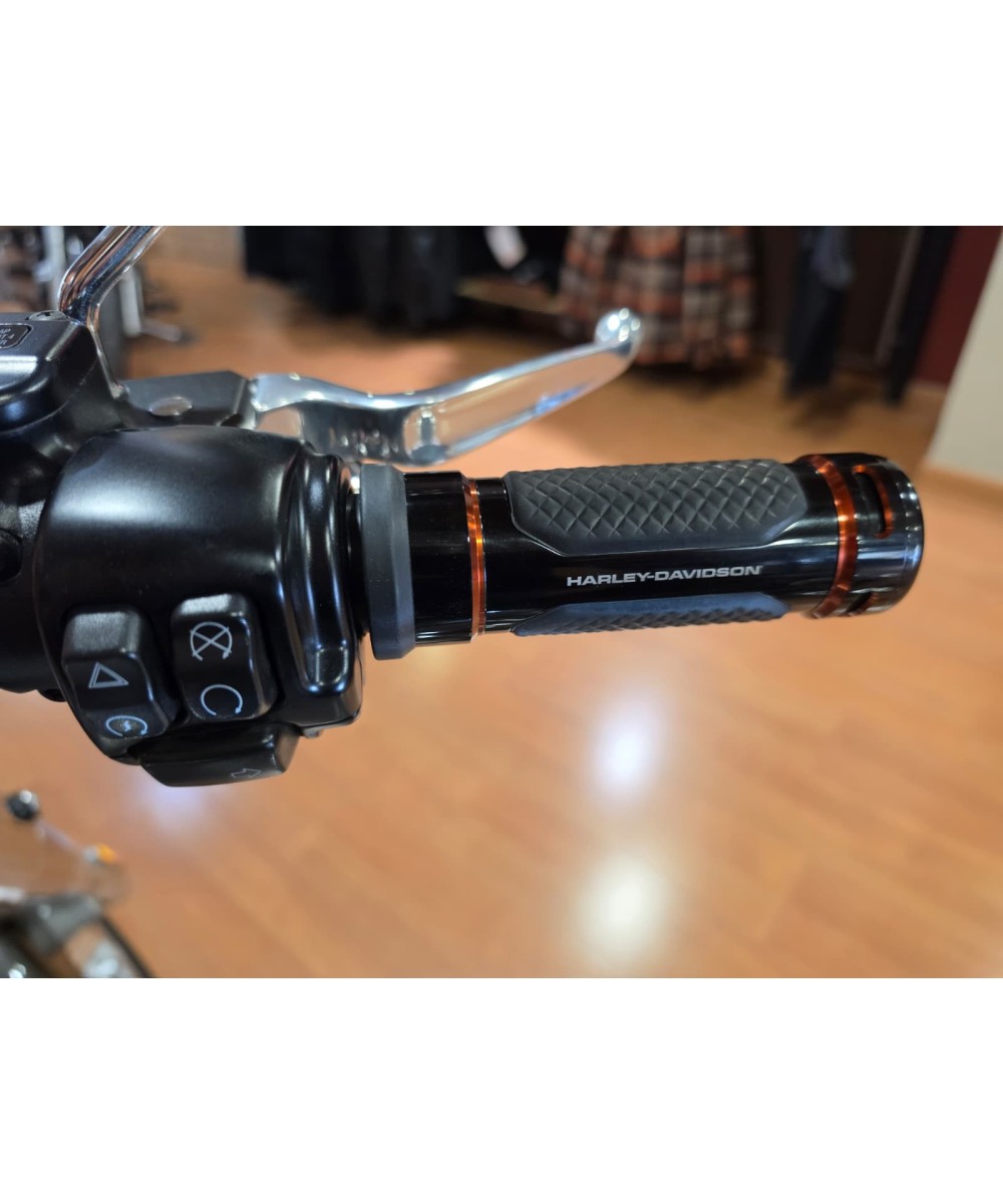 Harley-Davidson Softail Fat Boy 2023 | 13,406 km | Registration 3818 MKH | €22,490
