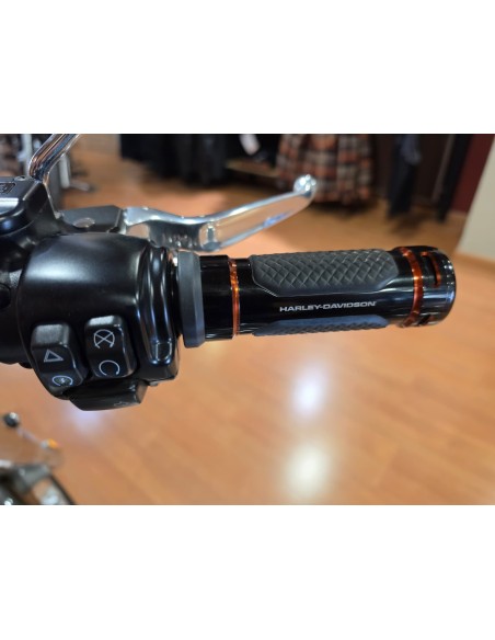 Harley-Davidson Softail Fat Boy 2023 | 13.406 km