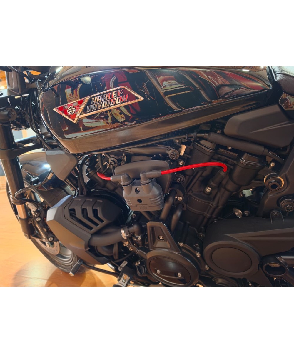 2026 Harley-Davidson Sportster S | New | Promotional price €16,300 | Siebla Motorcycles