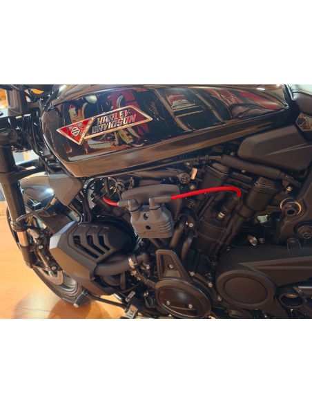Harley-Davidson Sportster S 2026 | Nueva