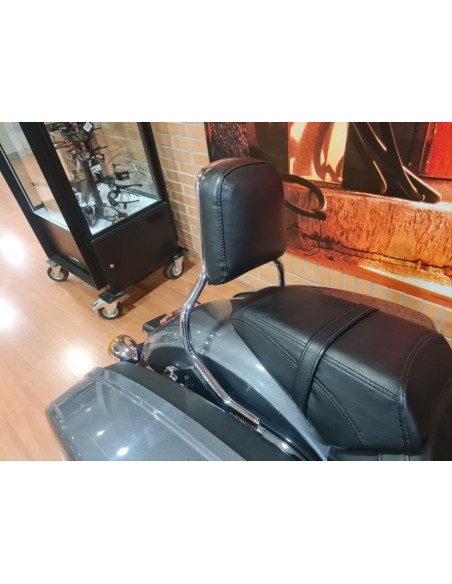 HARLEY DAVIDSON Sport Glide DE OCASIÓN EN SIEBLA