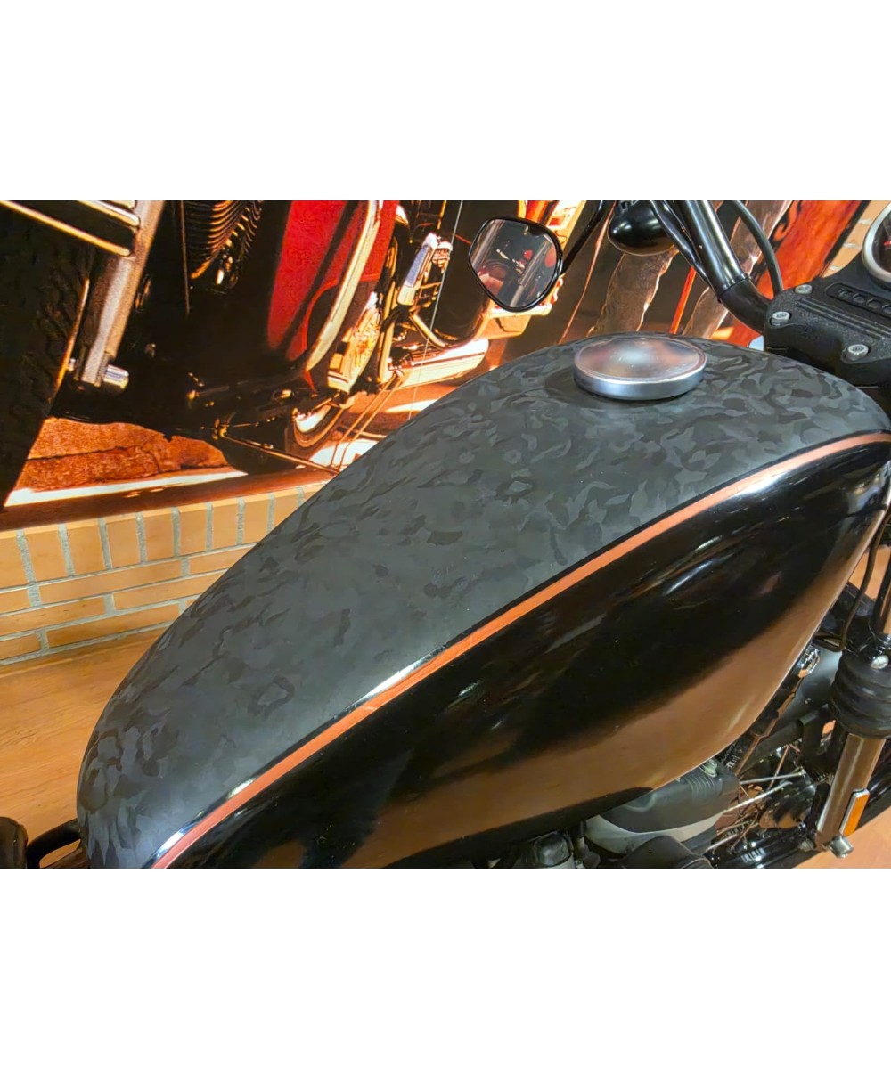Harley-Davidson Sportster Iron 883 2011 | 37.000 km