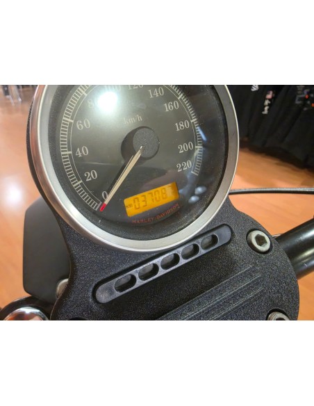Harley-Davidson Sportster Iron 883 2011 | 37.000 km
