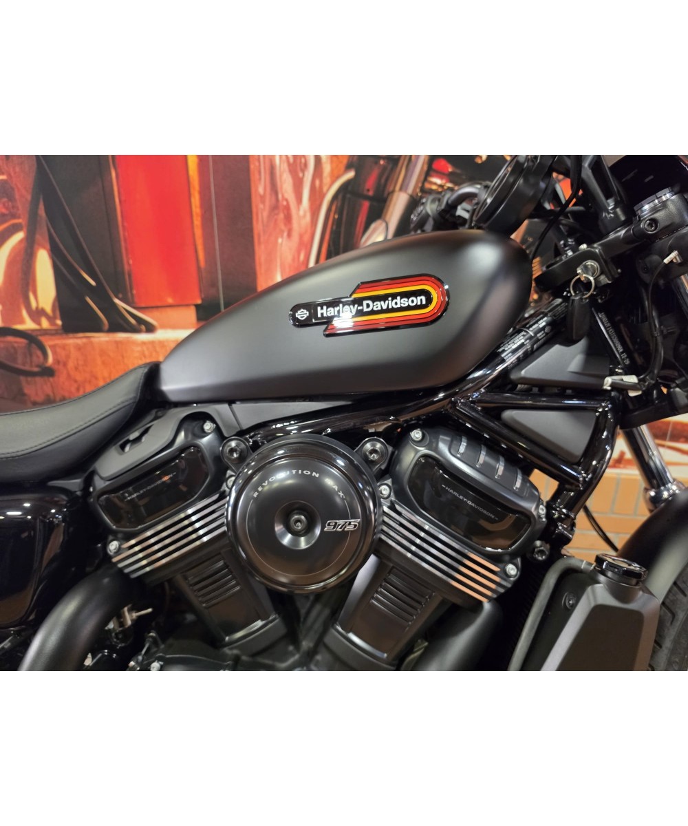 Pre-owned 2026 Harley-Davidson Nightster Special | 2,500 km | €14,200 | Siebla