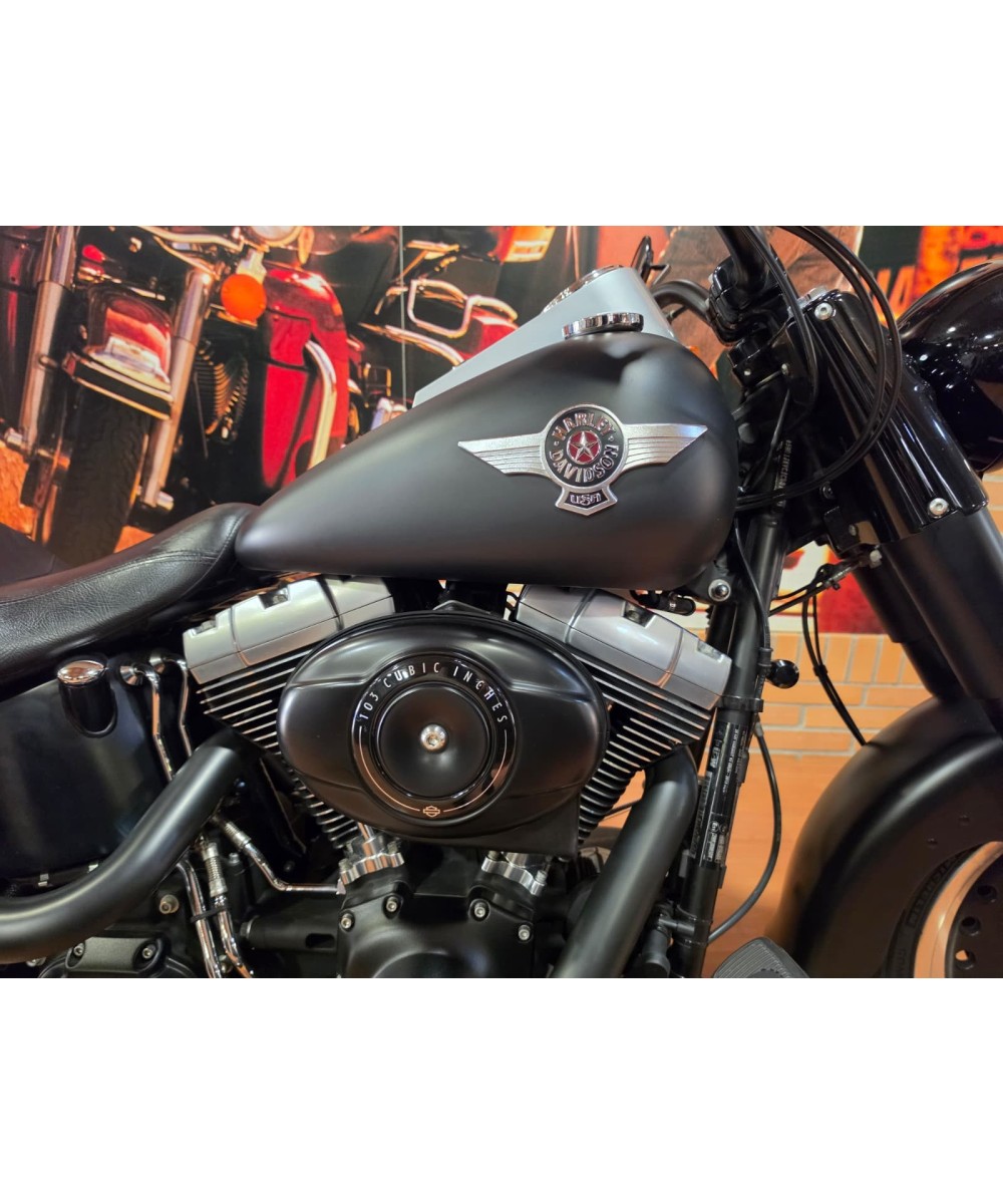 Harley-Davidson Softail Fat Boy Special 2011 | 78.900 km