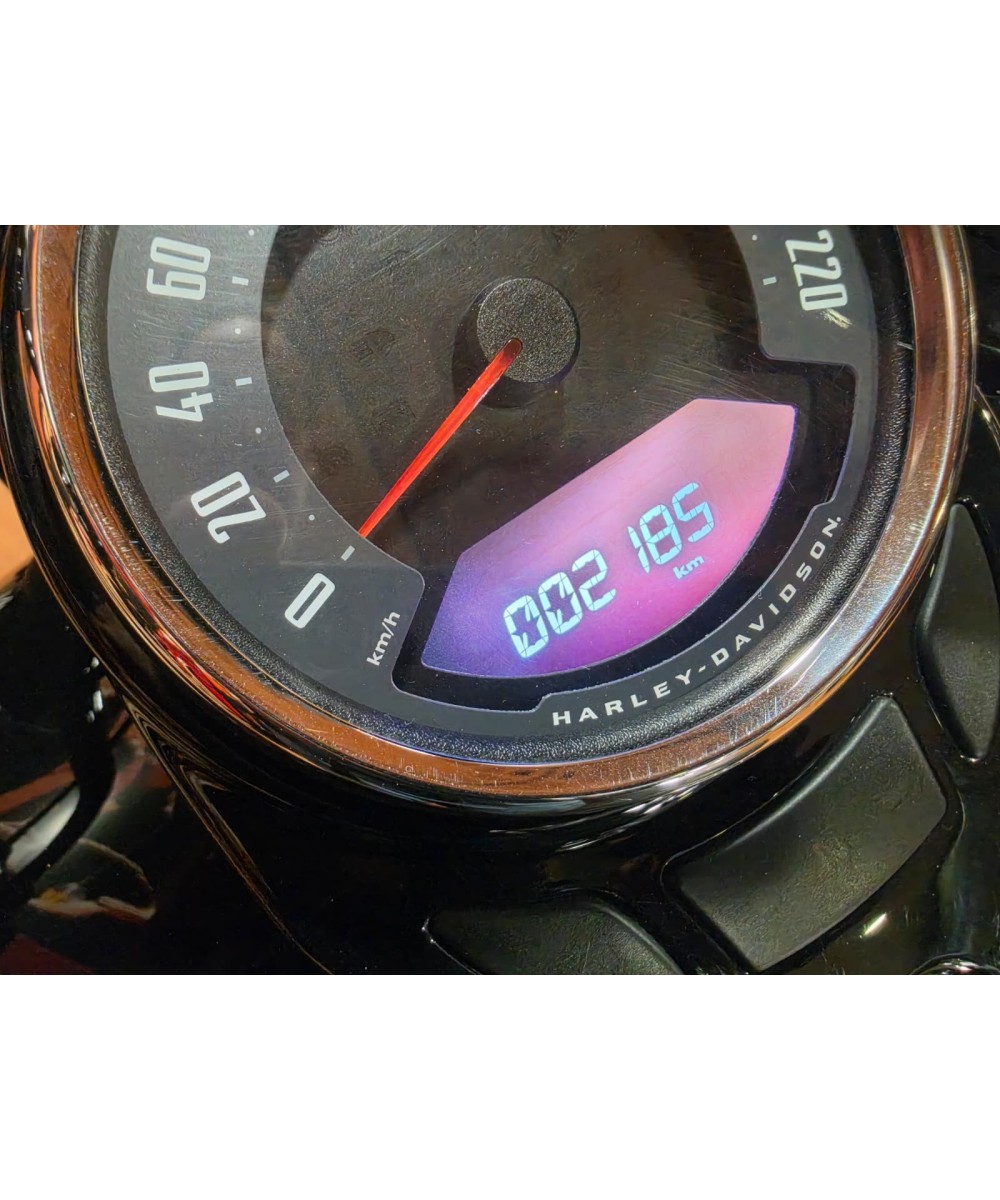 Harley-Davidson Softail Heritage Classic 114 2024 | 2.200 km