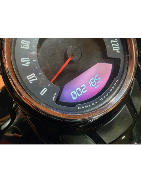 Harley-Davidson Softail Heritage Classic 114 2024 | 2.200 km