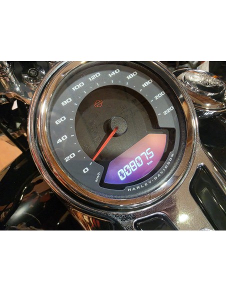Harley-Davidson Softail Sport Glide 2025 | 8.100 km