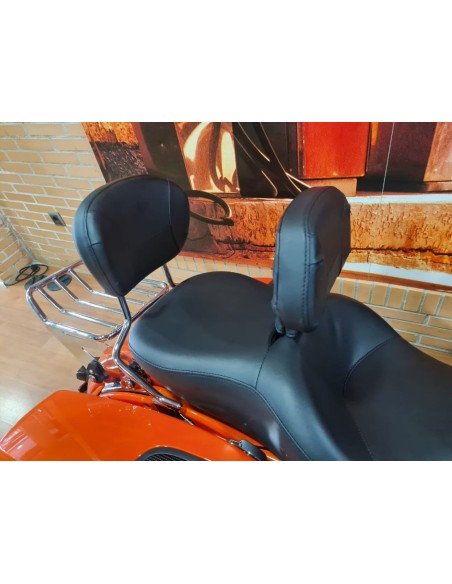 HARLEY DAVIDSON CVO Road Glide en Siebla