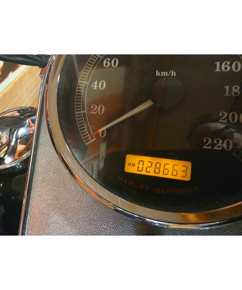 Harley-Davidson Softail Custom 2008 | 28.700 km