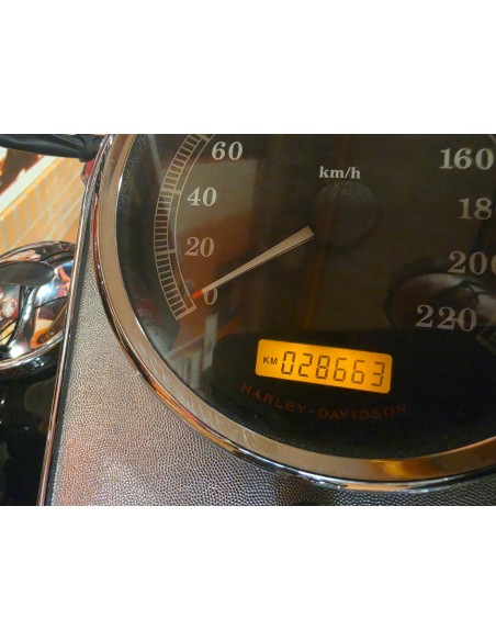 Harley-Davidson Softail Custom 2008 | 28.700 km