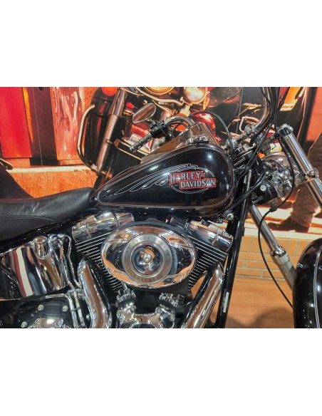 2008 Harley-Davidson Softail Custom | 28,700 km | Used
