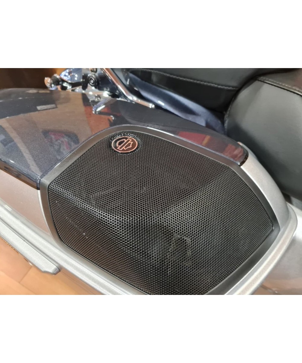 HARLEY DAVIDSON CVO Street Glide en Siebla