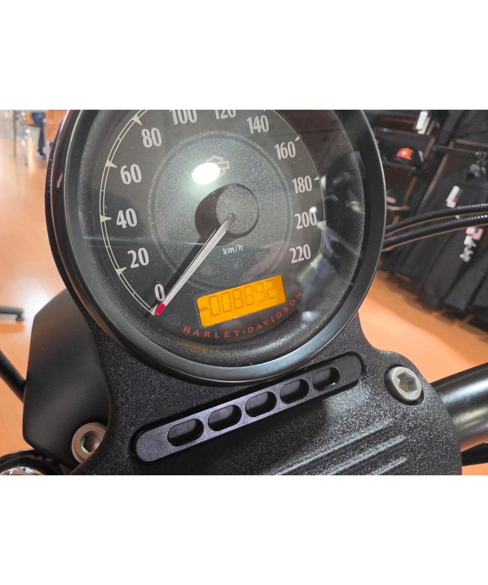 Harley-Davidson Iron 1200 2018 | 8.900 km