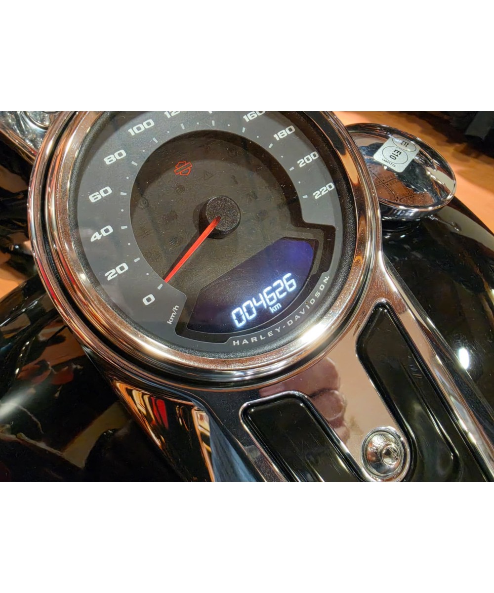 Harley-Davidson Fat Boy 2025 | 4.626 km