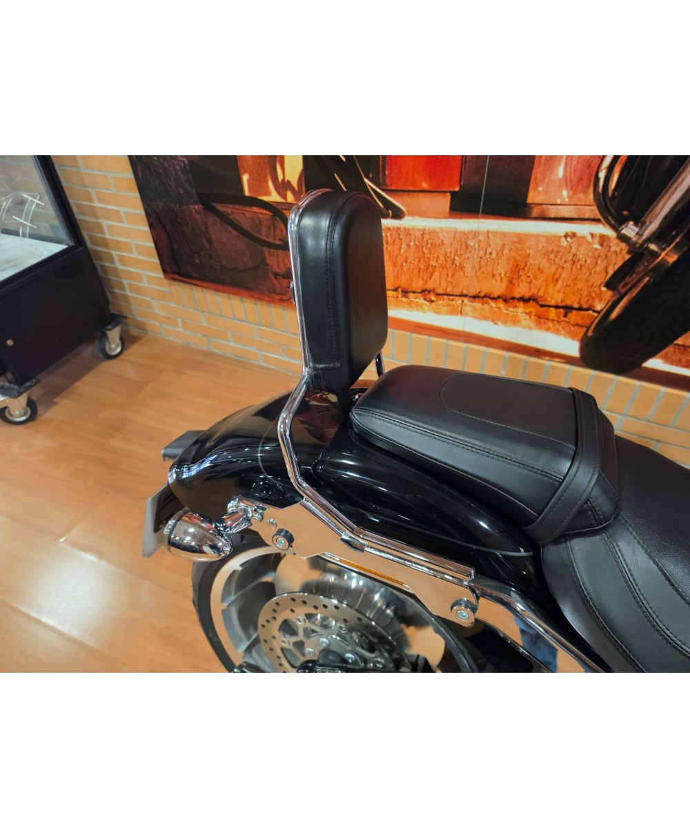 Harley-Davidson Fat Boy 2025 | 4,626 km | SIEBLA