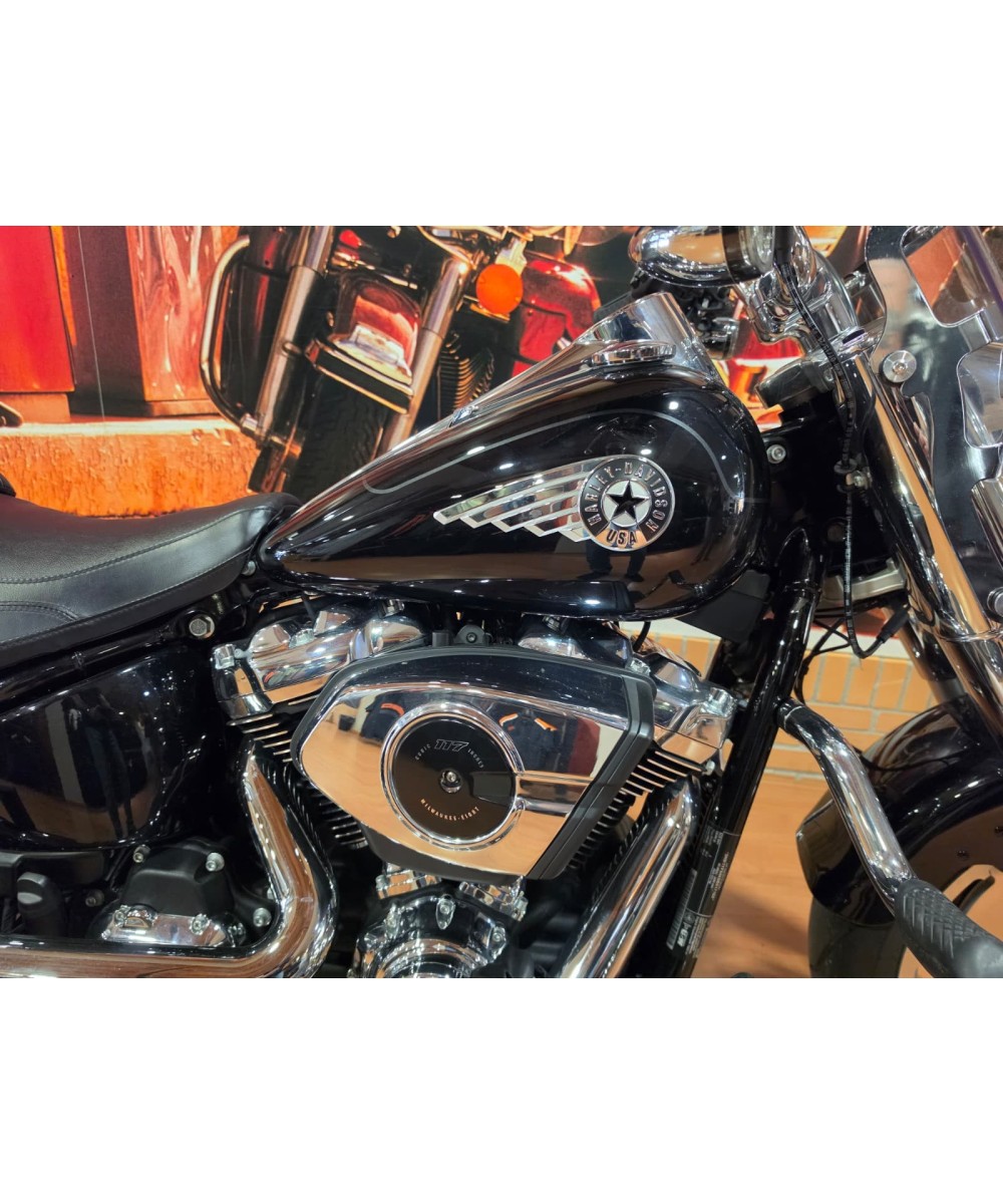 Harley-Davidson Fat Boy 2025 | 4,626 km | SIEBLA