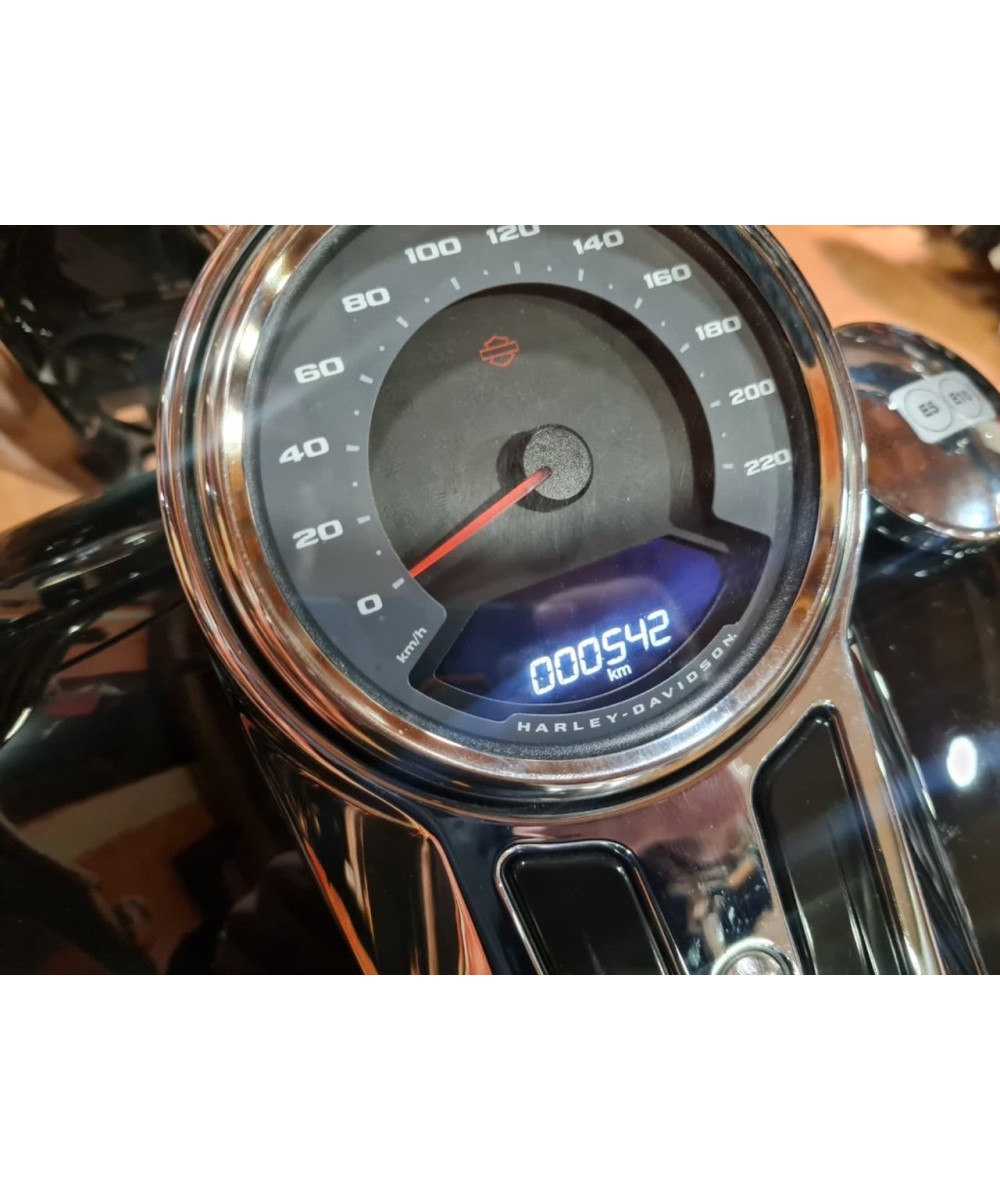 HARLEY DAVIDSON Fat Boy 114 en Siebla