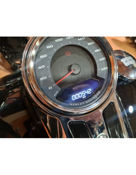 HARLEY DAVIDSON Fat Boy 114 en Siebla