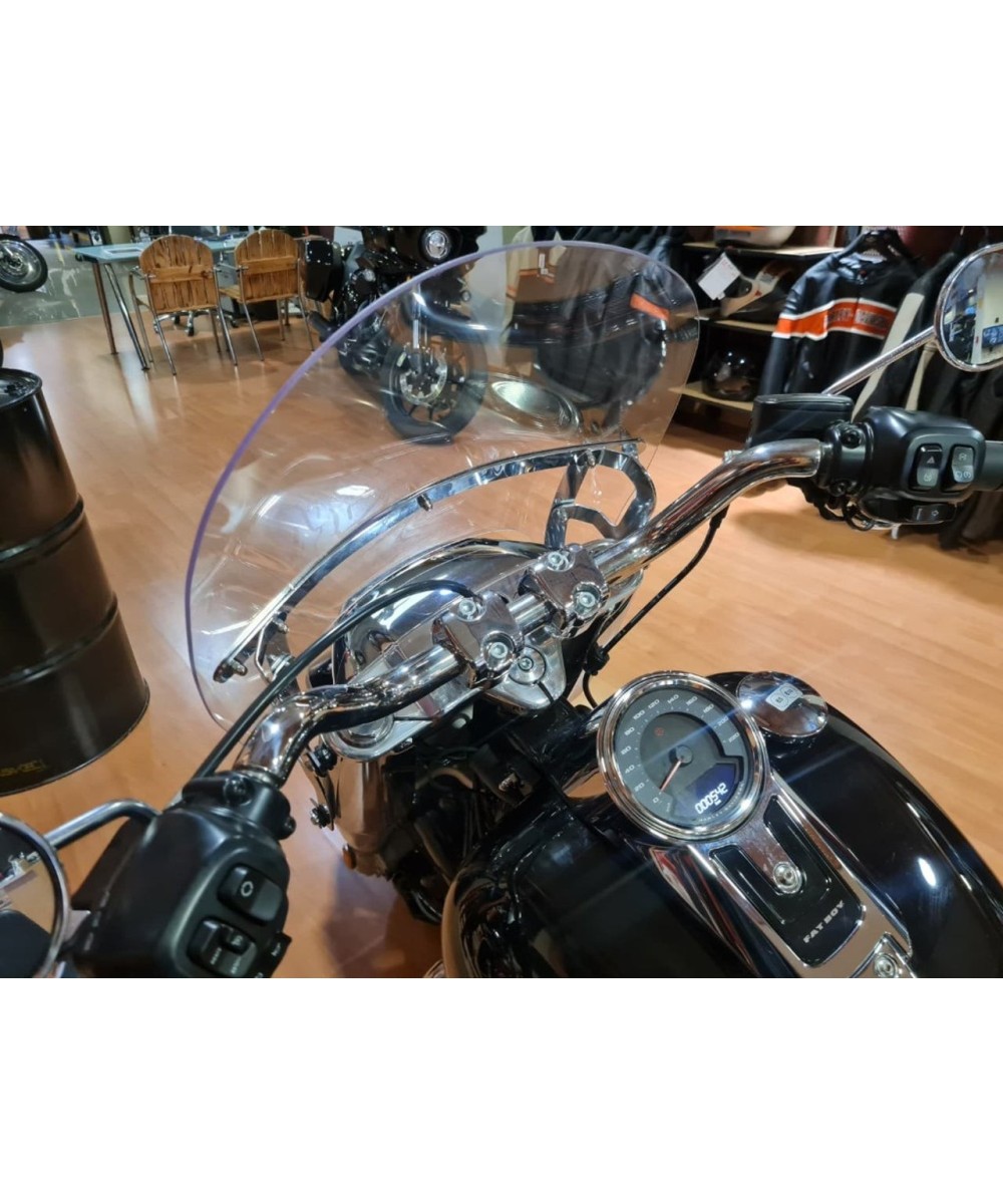 HARLEY DAVIDSON Fat Boy 114 en Siebla