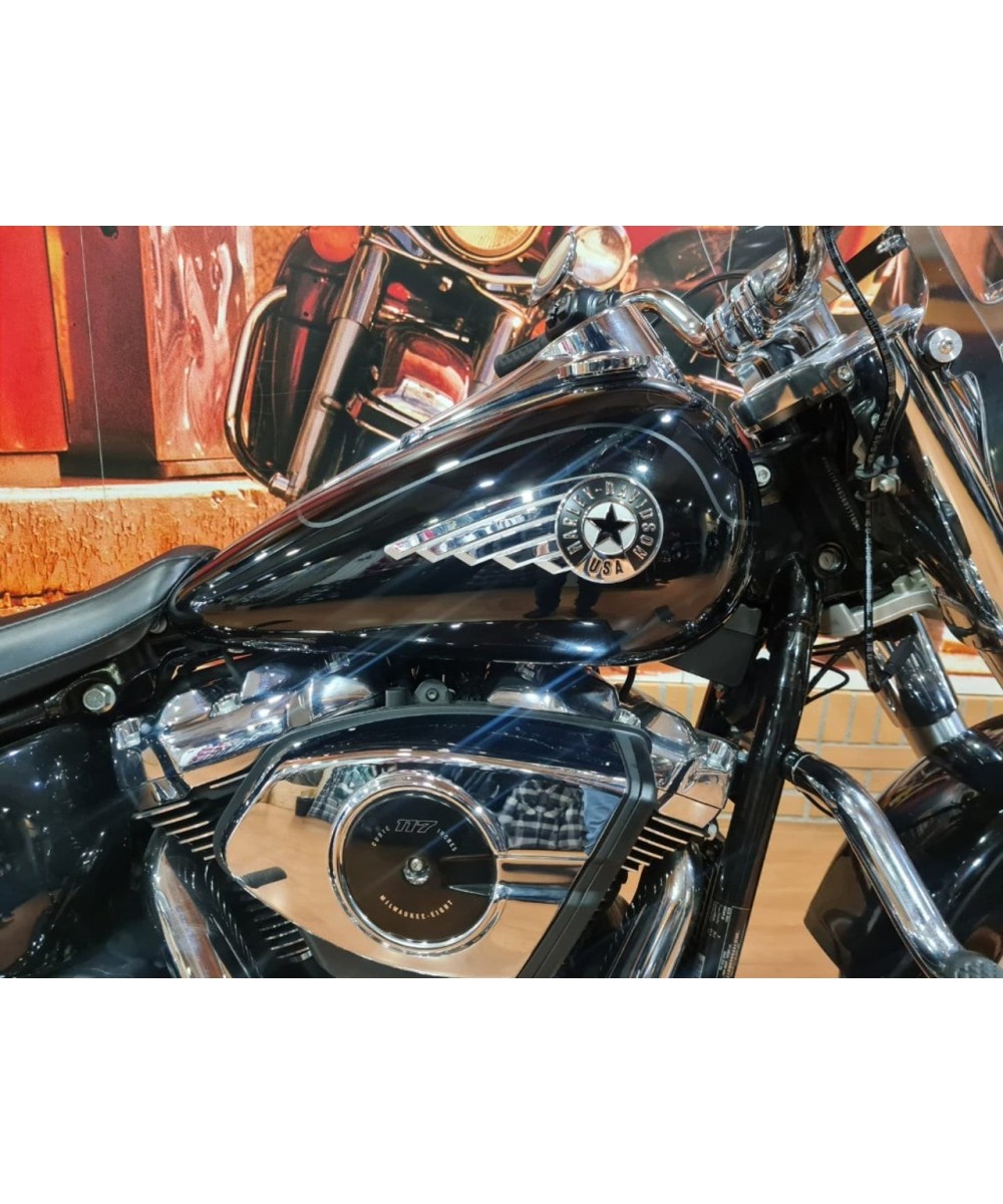HARLEY DAVIDSON Fat Boy 114 en Siebla