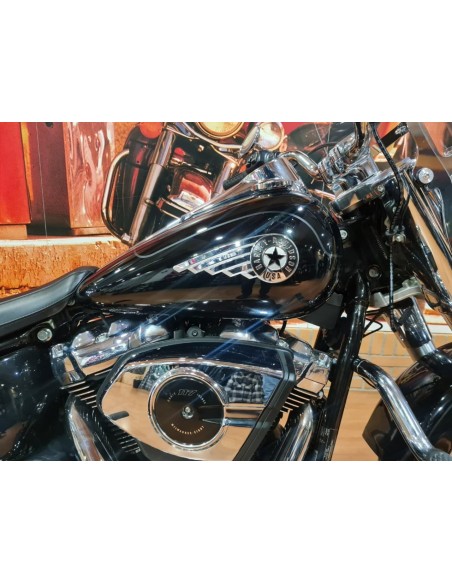 HARLEY DAVIDSON Fat Boy 114 en Siebla