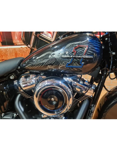 HARLEY DAVIDSON Heritage Classic en Siebla