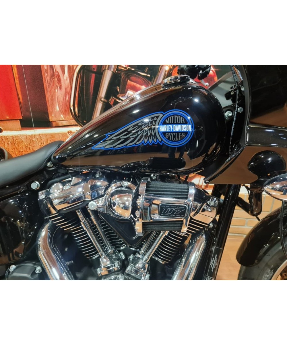 HARLEY DAVIDSON Low Rider ST en Siebla