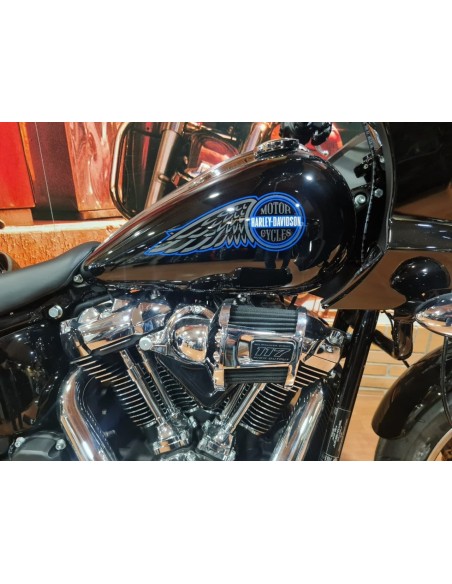 HARLEY DAVIDSON Low Rider ST en Siebla