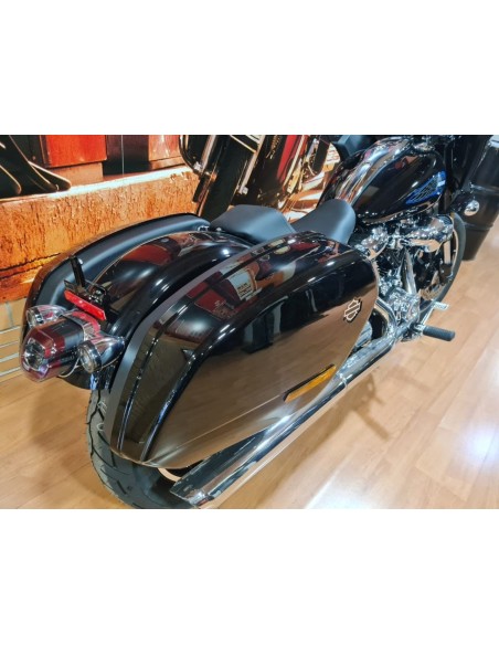 HARLEY DAVIDSON Low Rider ST en Siebla