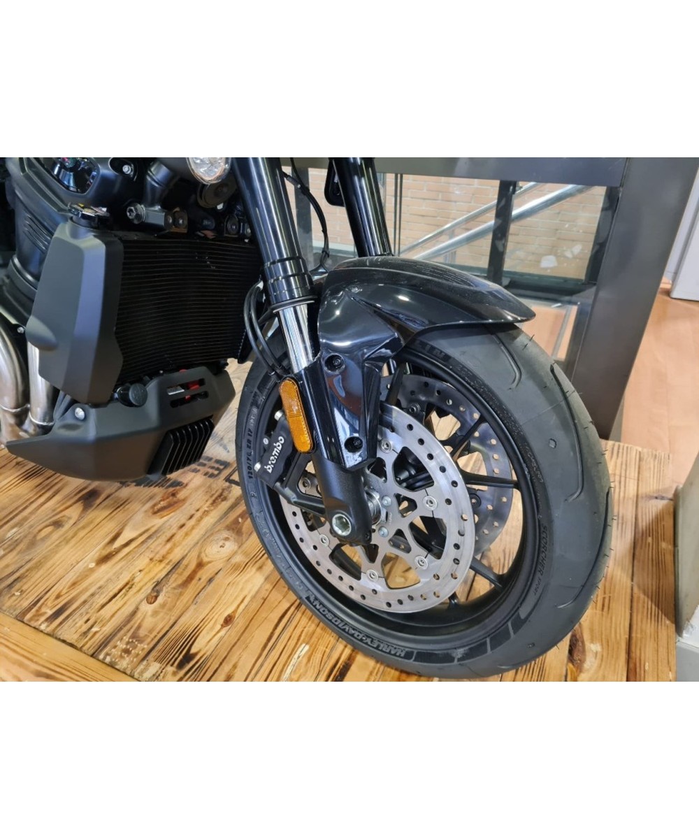 HARLEY DAVIDSON Pan America 1250 en Siebla