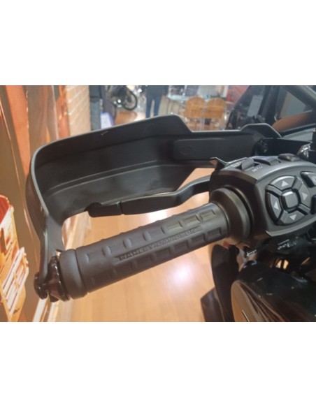 HARLEY DAVIDSON Pan America 1250 en Siebla