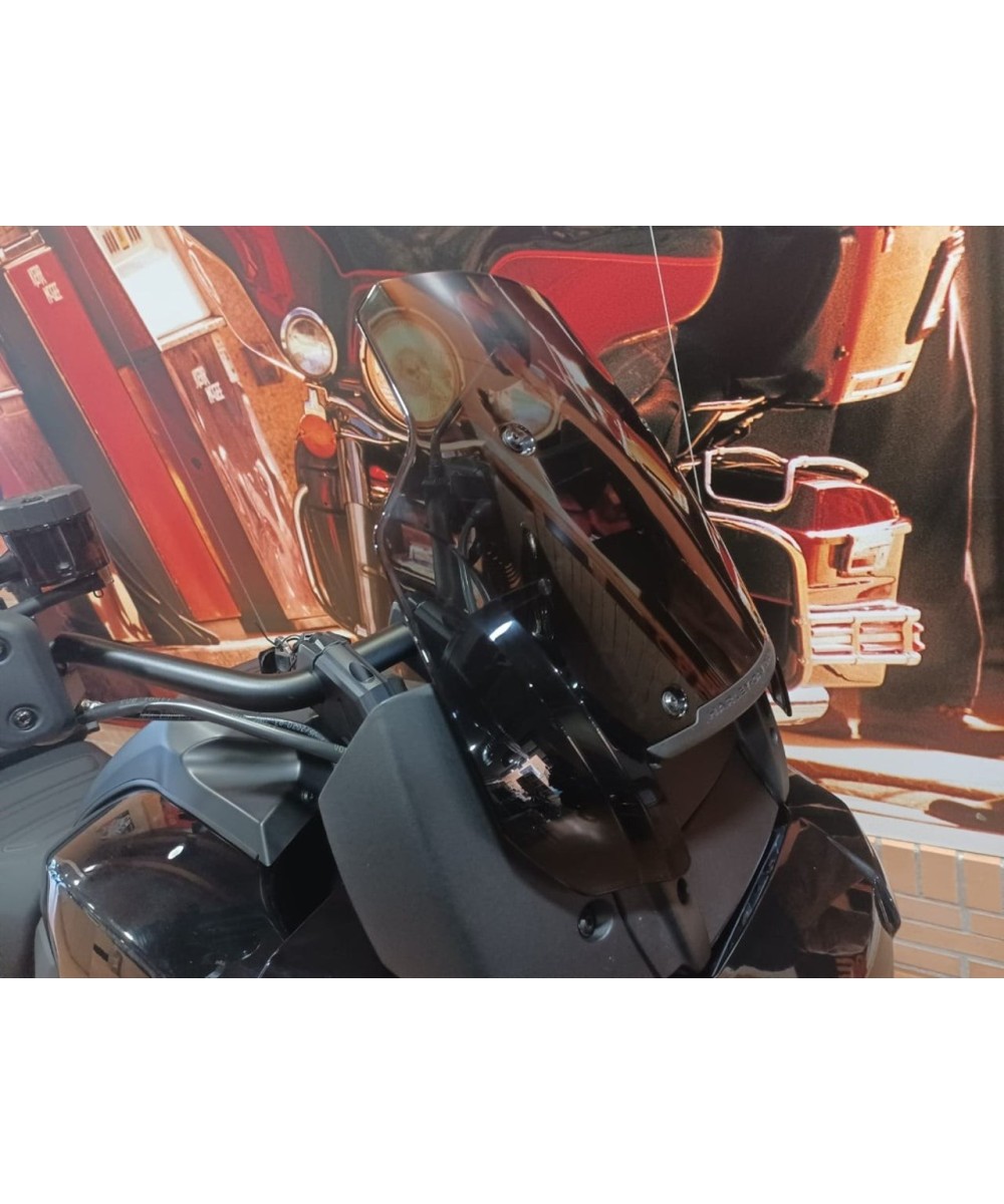 HARLEY DAVIDSON Pan America 1250 en Siebla