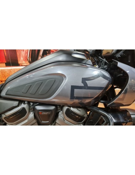 HARLEY DAVIDSON Pan America 1250 Special en Siebla